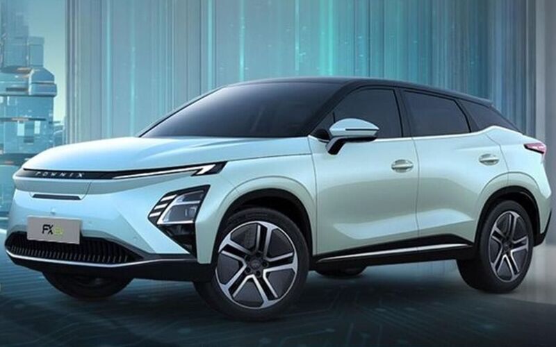 فروش نقدی دو مرحله ای فونیکس FX-بهمن ماه 1403