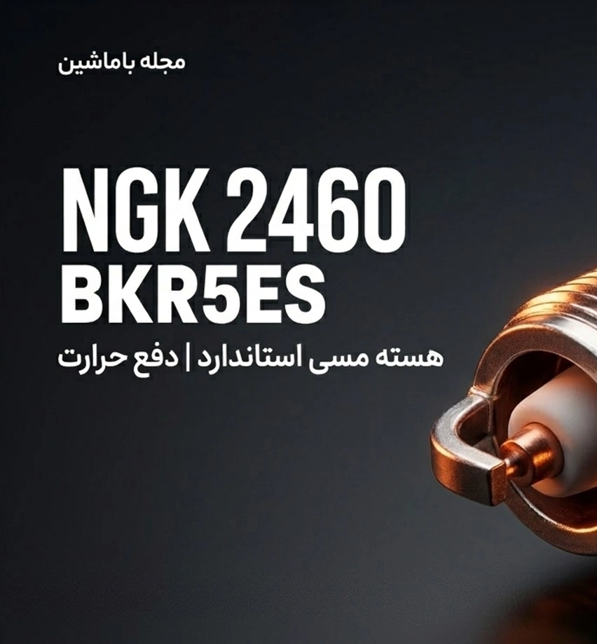 NK 2460-BKR5ES
