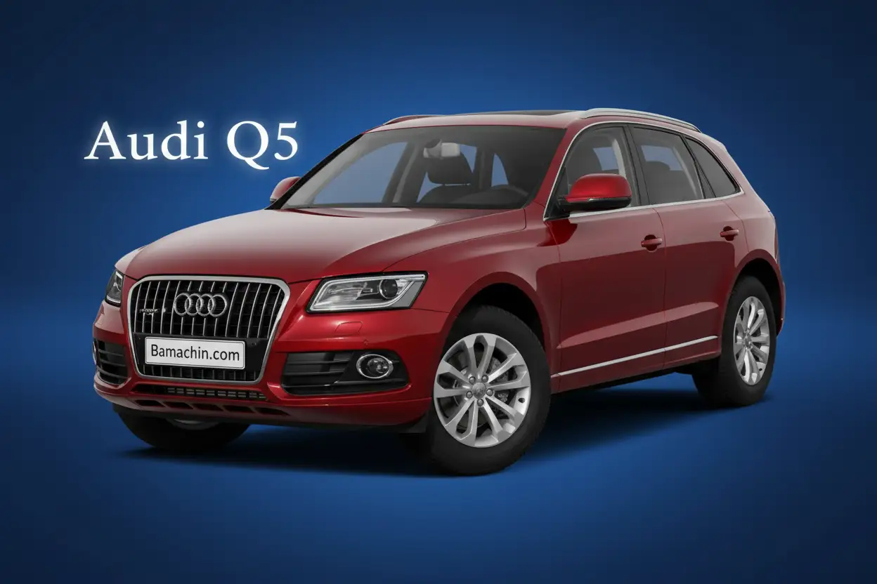 q5